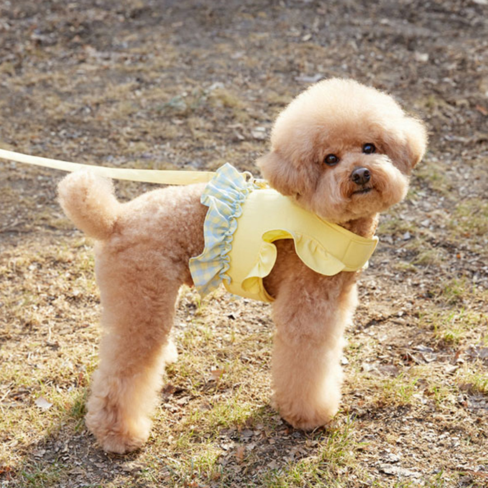 犬のカラーコントラスト牽引ロープペット楽しいレースショートベ - Lace Teddy Lingerie のレビューと価格